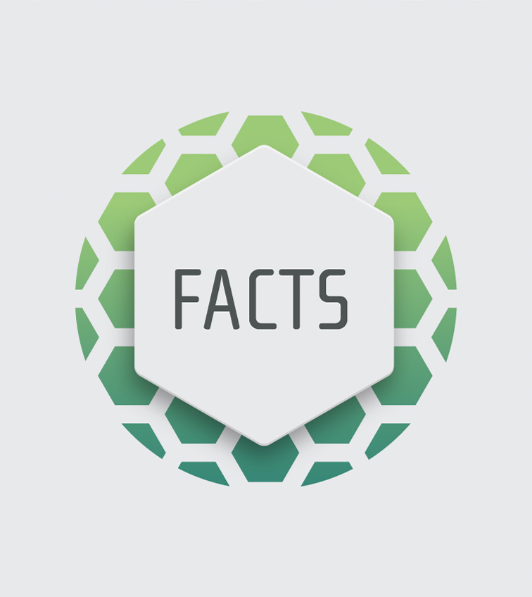 Facts logo design